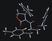 Molecular model