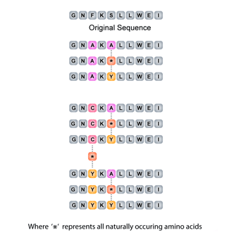 Combinational 2- Positional Scan