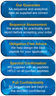 The key benefits of custom peptides from Mimotopes