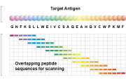 Mapping epitopes with a library of overlapping custom peptides