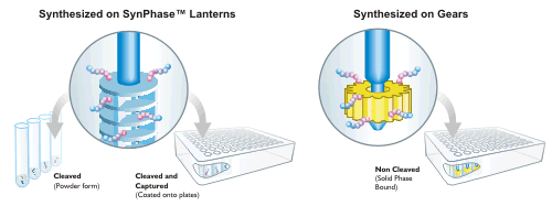 Types of PepSets