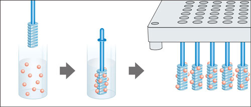 Lanterns mounted on Stems can scavenge solution phase products or unused reagents in parallel